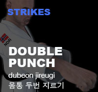 Taekwondo Double Punch