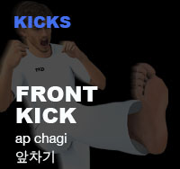 Taekwondo Front Kick