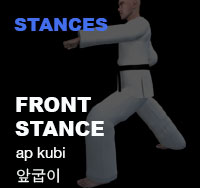 Taekwondo Front stance