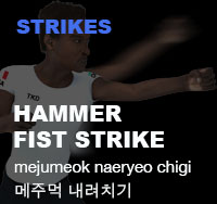 Taekwondo Hammer Fist Strike ( 메주먹 내려치기 mejumeok-naeryeo-chigi )