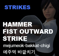 Hammer Hand Outward Strike ( 메주먹 바깥치기 mejumeok-bakkat-chigi )