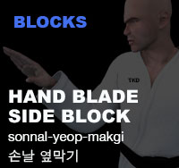 Taekwondo Hand Blade Side Block ( 손날 옆막기 sonnal-yeop-makgi )