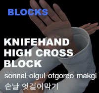 Knifehand High Cross Block ( 손날 엇걸어막기 sonnal-olgul-otgoreo-makgi )
