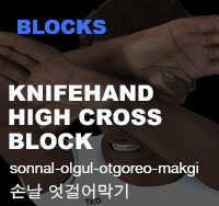 Knifehand High Cross Block ( 손날 엇걸어막기 sonnal-olgul-otgoreo-makgi )