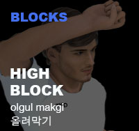 Taekwondo High Block