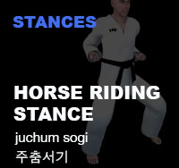 Horse Stance