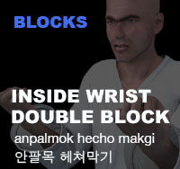 Inside Wrist Double Block