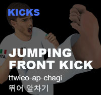 Jumping Front Kick ( 뛰어 앞차기 ttwieo-ap-chagi )