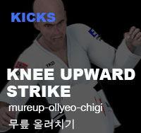 Knee Upward Strike ( 무릎 올려치기 mureup-ollyeo-chigi )