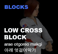 Low Cross Block ( 아래 엇걸어막기 arae-otgoreo-makgi )