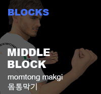 Taekwondo Middle Block