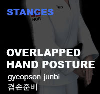 Overlapped Hand Posture