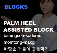 Palm Heel Assisted Block ( 바탕손 거들어 몸통막기 batangson-kodureo-momtong-makgi )