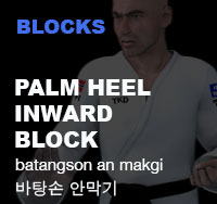 Taekwondo Palm Hand Trunk Block