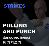 Taekwondo Pulling and Punching ( 당겨지르기 danggyeo-jireugi )