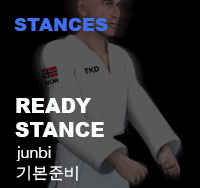 Taekwondo Ready Stance