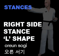 Right Side Stance (oreun sogi)