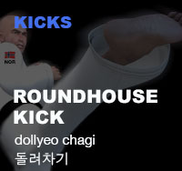 Taekwondo Roundhouse Kick