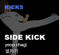 Taekwondo Side Kick