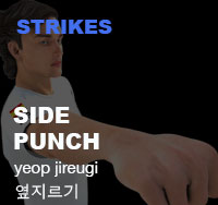 Taekwondo Side Punch ( 옆지르기 yeop-jireugi )