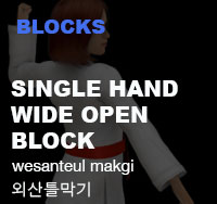 Taekwondo Single Wide Open Hand Block (wesanteul makgi)