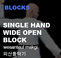 Taekwondo Single Wide Open Hand Block (wesanteul makgi)