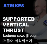 Taekwondo Supporting Vertical Thrust ( 거들어 세워찌르기 kodureo-sewo-jjireugi )