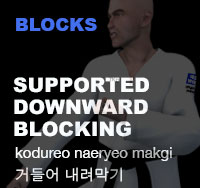 Taekwondo Supported Downward Block ( 거들어 내려막기 kodureo-naeryeo-makgi )