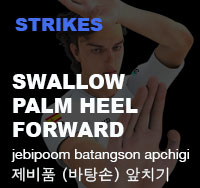 Swallow Palm Heel Front Strike ( 제비품 바탕손 앞치기 jebipoom-batangson-ap-chigi )