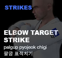 Taekwondo Elbow Target Strike ( 팔굽 표적치기 palgup-pyojeok-chigi )