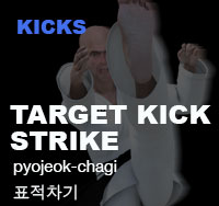 Taekwondo Target Kick Strike ( 표적차기 pyojeok-chagi )