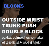 Outside Wrist Trunk Push Double Block