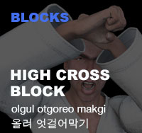 High Cross Block ( 올려 엇걸어막기 olgul-otgoreo-makgi )