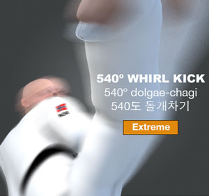 Whirl Kick 540º ( 540도 돌개차기 / 540º dolgae-chagi )