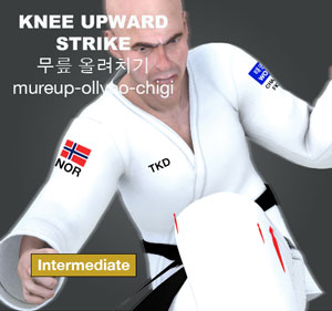 Knee Upward Strike ( 무릎 올려치기 mureup-ollyeo-chigi )