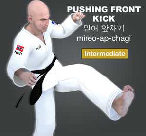 Pushing Front Kick ( 밀어 앞차기 mireo-ap-chagi )