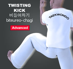 Twisting Kick ( 비틀어차기 biteureo-chagi )