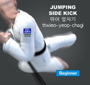 Jumping Side Kick ( 뛰어 옆차기 ttwieo-yeop-chagi )