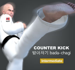 Counter Kick ( 받아차기 bada-chagi )