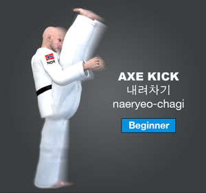 Axe Kick ( 내려차기 naeryeo-chagi )