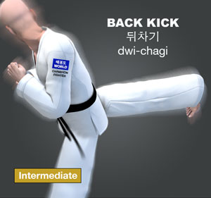 Back Kick ( 뒤차기 dwi-chagi )