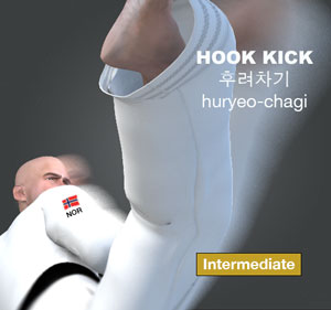 Hook Kick ( 후려차기 huryeo-chagi )