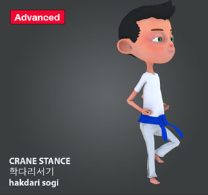 Crane Stance ( 학다리서기 hakdari-sogi )