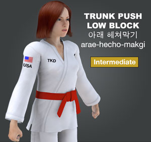 Trunk Push Low Block (arae hecho makgi)