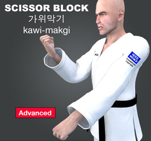 Scissors Block (kawi makgi)