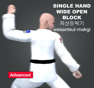 Single Hand Wide Open Block (Wesanteul makgi)