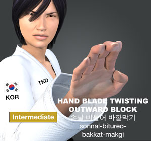 HandBlade Twist Outward Block