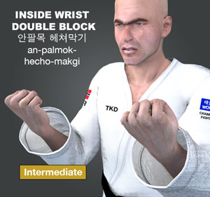 Inner Wrist Double Block