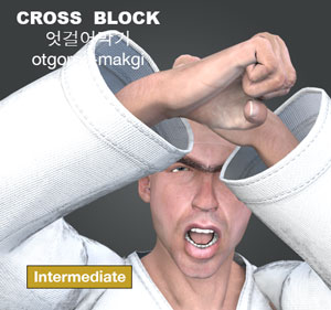 Cross Block ( 엇걸어막기 otgoreo makgi )