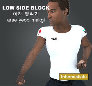 Low Side Block ( 아래 옆막기 arae-yeop-makgi )